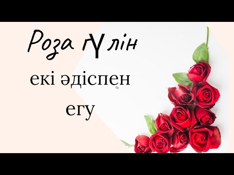 Видео: Роза гүлін екі әдіспен егу.