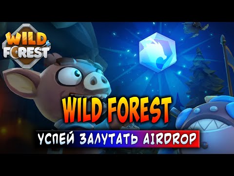 Видео: WILD FOREST | УСПЕЙ ЗАЛУТАТЬ AIRDROP | ЗАРАБАТЫВАЙ БЕЗ ВЛОЖЕНИЙ!