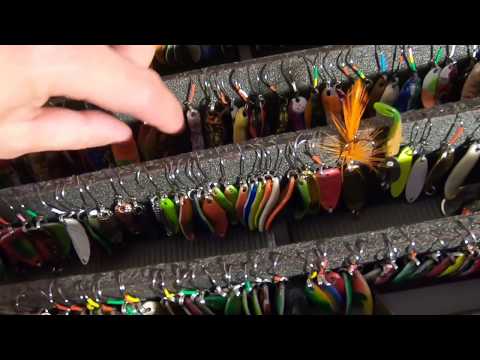 Видео: Я считаю что широкие колебалки по пассивной форели лучше чем узкие ?