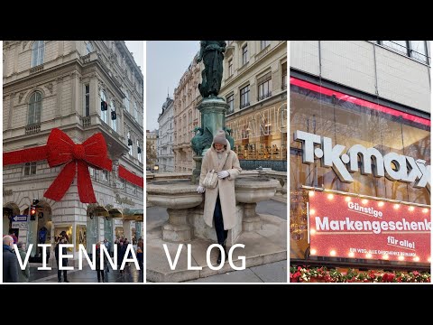 Видео: Vienna VLOG. Шоппинг, обед в Cafe Central, самые красивые кафе и магазины