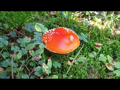 Видео: закрывать сезон или еще рано