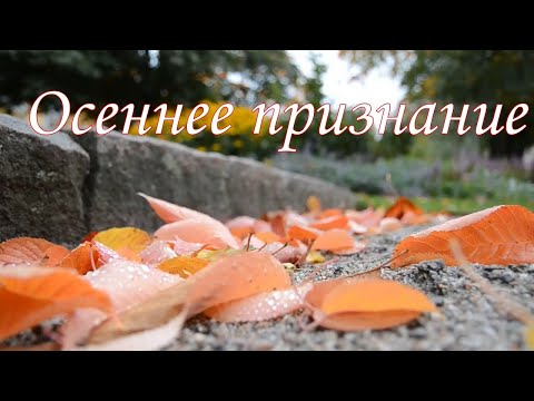 Видео: Осеннее признание,  монтаж Владимира Ростовцева