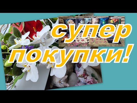 Видео: БОЛТАЛКА, ПОКУПКИ С ВАЛДБЕРИС, ЗАЧЕМ МНЕ ОНИ И ЧТО С ЭТИМ ДЕЛАЮ?..
