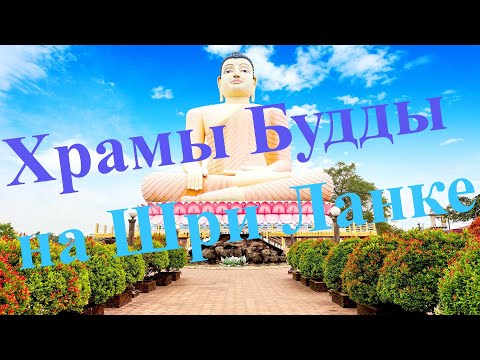 Видео: Храмы Будды на Шри Ланке