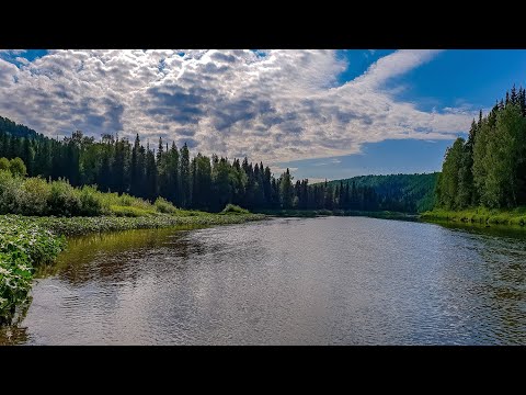 Видео: Рыбалка в верховьях реки Колва 2018. Часть 1. Путь по воде.