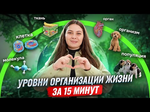 Видео: Признаки и уровни организации жизни за 15 МИНУТ | Задание 1 | Биология ЕГЭ | Умскул