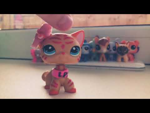 Видео: #lps#  Мама купи мне  лпс 😦🐾 .