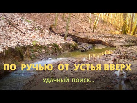 Видео: По Ручью, от устья вверх.Удачный поиск.