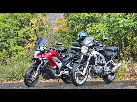 Видео: Нов кон в стадото... 