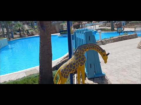 Видео: Обзор и отзыв о территории пляж и море отеля GOLF BEACH RESORT SHARM EL SHEIKH сентябрь 2024 года