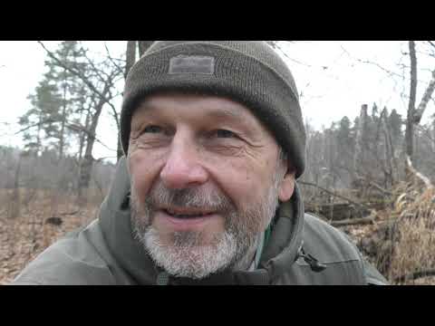 Видео: Дикая походная тропа по Мещере (6). К озеру Смердячее