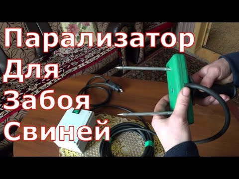 Видео: Как сделать парализатор для забоя свиней