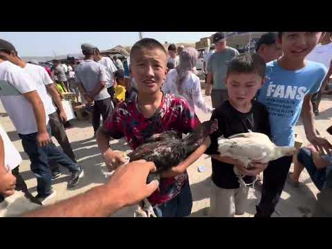 Видео: АЗИЯДА ТООК БАЗАР КАНДАЙ КЫЗЫЙТ !!! КЫЗЫЛ-КЫЯ !!! 6-Июль