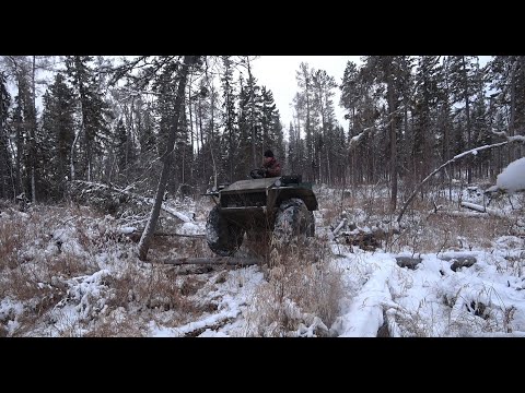 Видео: НЕПРОЛАЗНЫЕ ДЕБРИ!!! ЗАРАБОТОК НА СБОРЕ СЕРЫ. Пробиваюсь к заветным островам .