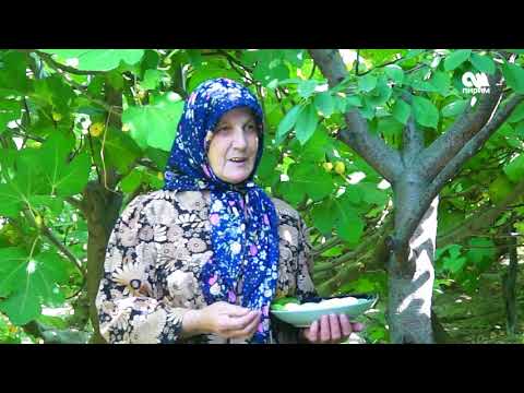 Видео: Анжирдан мол тушум алган уй-було 19.09.17