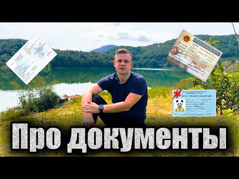Видео: Виза больше не нужна? Бизнес виза, разрешение на работу, карта резидента: тонкости и нюансы