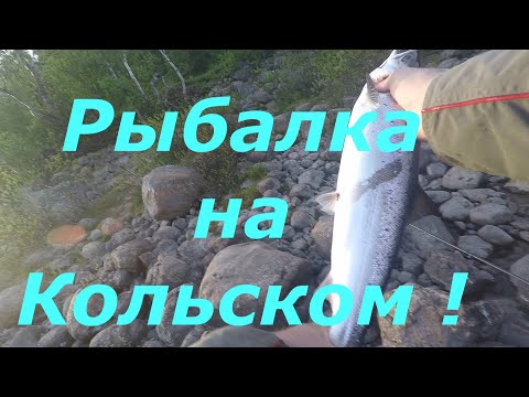 Видео: Рыбалка на Кольском ! Второй хвостик семги  . 4  Июля 2025 года .