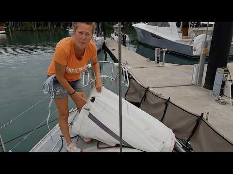 Видео: Путешествие в Порт-Дуглас: дикая природа, дайвинг и ремонт лодок — Эпизод 260