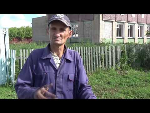 Видео: Ленинское, Аккайынский район