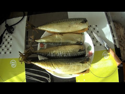 Видео: Скумбрия холодного копчения в коптильне Hobbi Smoke