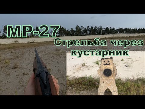 Видео: Стрельба пулями из МР-27 на 60 м. через кустарник.