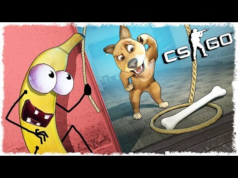 Видео: ТРОЛЛЬ БАНАН vs СОБАКА МАНЬЯК В CS:GO!!!