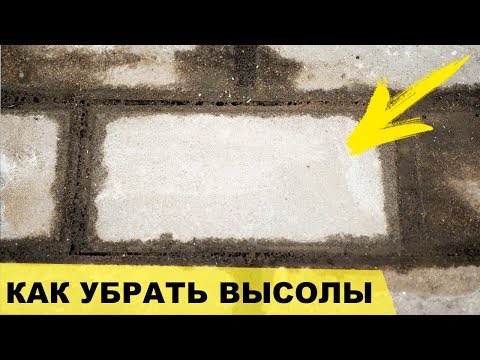 Видео: Как убрать высолы - 100% РАБОЧИЙ МЕТОД