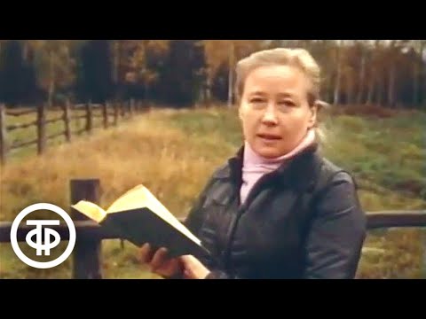 Видео: Золотой Плес. Документальный фильм (1980)