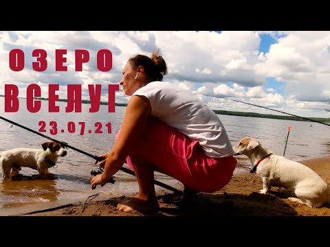 Видео: Рыбалка на озере ВСЕЛУГ! ЖЕНА опять ЖЖЁТ! Ночью лещ озверел на фидер! Наконец-то УХА из СУДАКА!