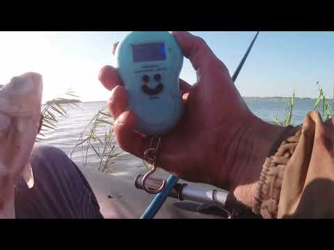 Видео: Озеро Чаны остров Сарган 22.08.2022.