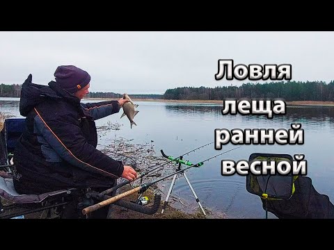 Видео: Ловля леща ранней весной.