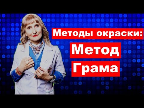Видео: Микробиология.Методы краски: Метод Грама .