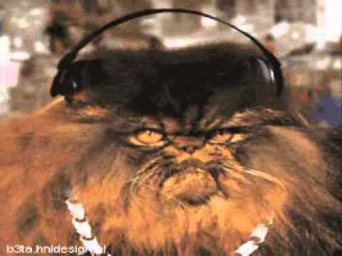 Видео: Дядя Женя - Мой хип-хоп