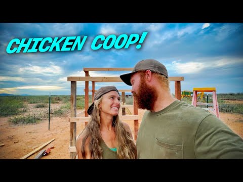 Видео: Строим курятник! | | Строим наш рай без электричества. Серия 24