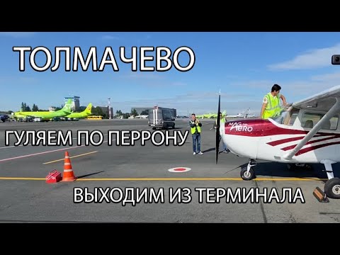 Видео: В Толмачево на Cessna 172. Оставили самолет на перроне, как пройти обратно?