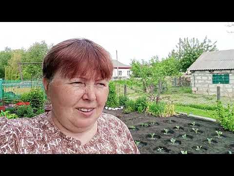 Видео: Как обстоят дела .Хроника .Жизнь в деревне .