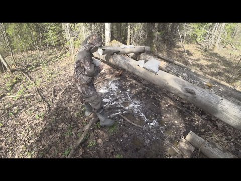 Видео: Проверка солонца. Добавляем соль в солонец.