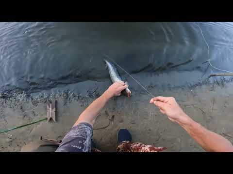 Видео: РЫБАЛКА НА ДОНКИ