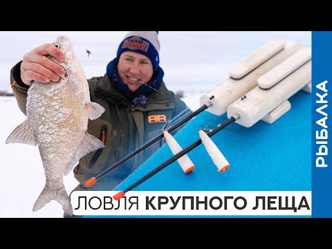 Видео: СЕКРЕТЫ ловли КРУПНОГО леща! Зимняя рыбалка на поплавок