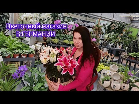 Видео: КОМНАТНЫЕ РАСТЕНИЯ/ОГРОМНЫЙ ОБЗОР В ЦВЕТОЧНОМ МАГАЗИНЕ В ГЕРМАНИИ/ #цветы #влог #обзор#германия#