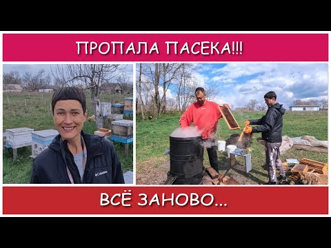 Видео: Восстановление погибшей пасеки. Первые работы. Часть 1.