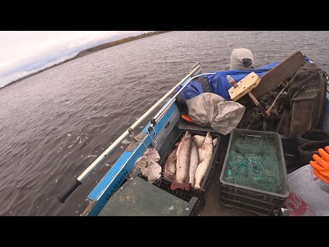 Видео: 🟢Ночная Рыбалка Сплавными Сетями!