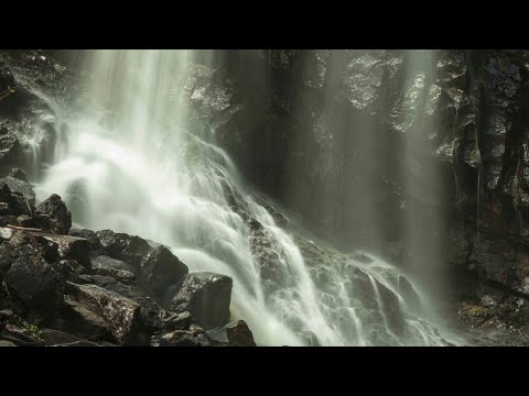 Видео: Разходка до Боянски водопад и Боянско езеро
