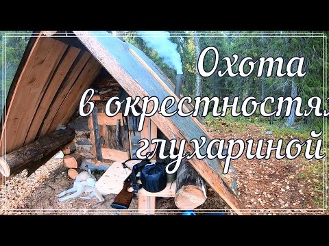 Видео: Охота в окрестностях избы глухариной