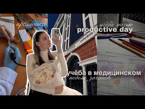 Видео: учёба на ВТОРОМ курсе медицинского, зачёт по гистологии🥼