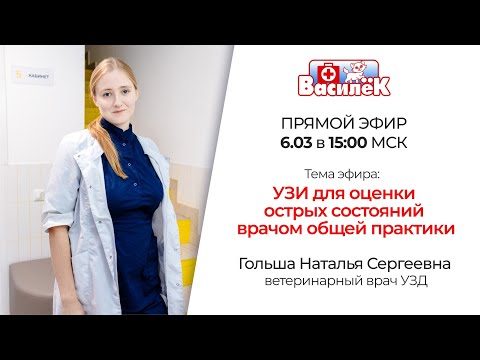Видео: УЗИ для оценки острых состояний врачом общей практики