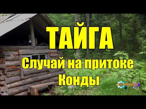 Видео: СЛУЧАЙ НА ПРИТОКЕ Конды ТАЙГА