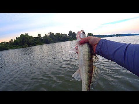Видео: ПРОВЕРИЛ КЛЕВ СУДАКА ВЕЧЕРОМ ПЕРЕД ГРОЗОЙ. Рыбалка на спиннинг
