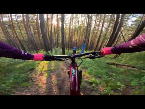 Видео: Не экономь на тормозах или ротора ZTTO | Желтая, Бобровый лог, Красноярск