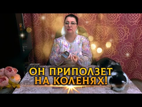 Видео: КТО ПОЛЗЕТ К ВАМ НА КОЛЕНЯХ? У КОГО ТЫ НЕ ВЫХОДИШЬ ИЗ ГОЛОВЫ?